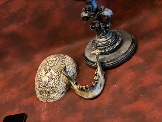 The Pirate Mandible Phone Holder