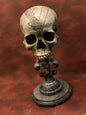 Vikings Show Skull