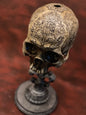 Hogwarts Graduation Skull