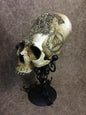 Death Eater Skull