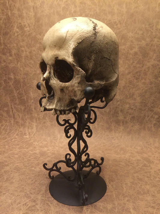 Replica - Deformed Human Skull