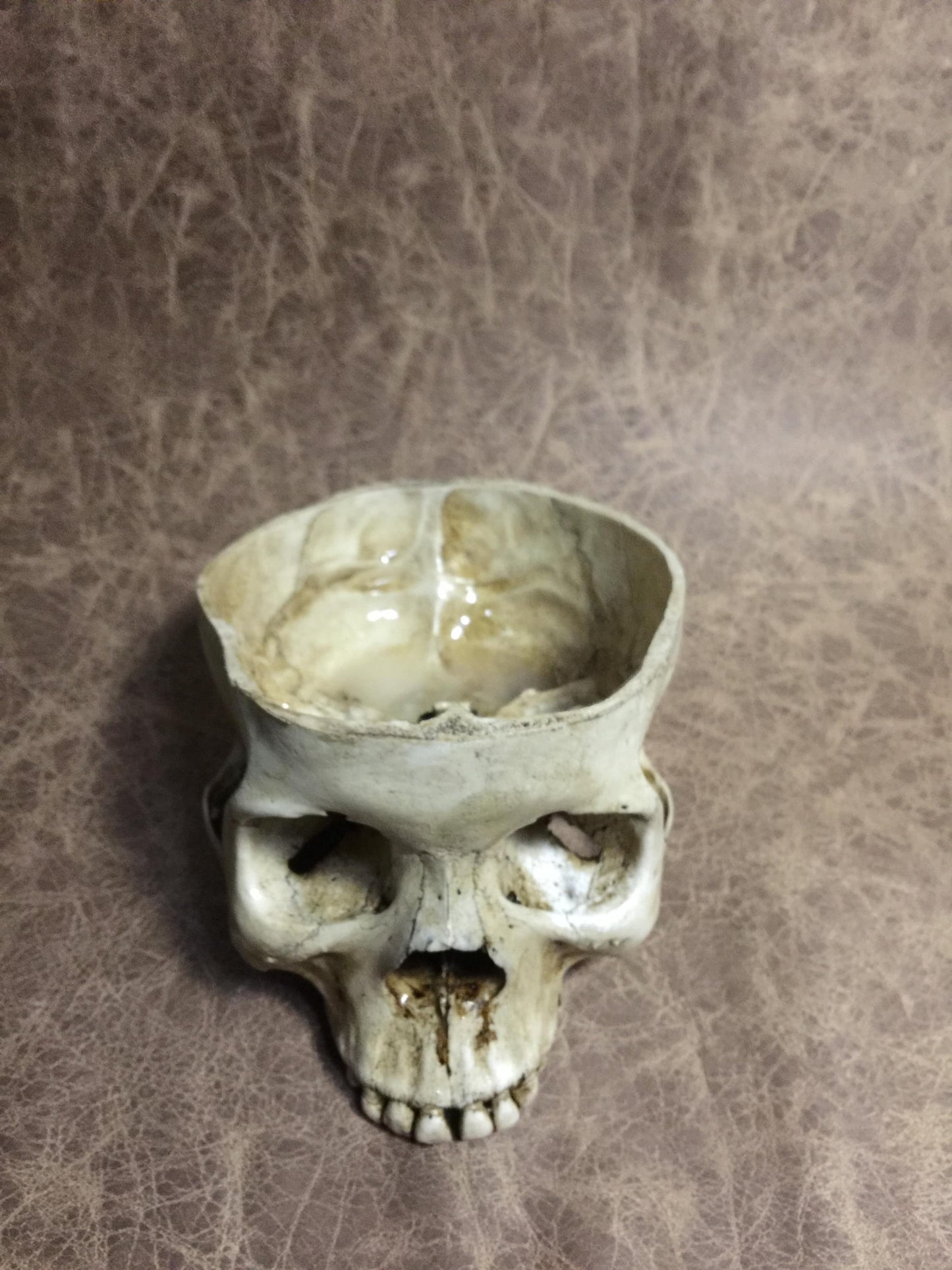 Skull Bowl - Female