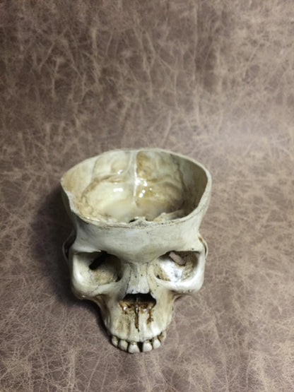 Skull Bowl - Female
