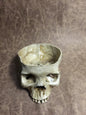 Skull Bowl - Female