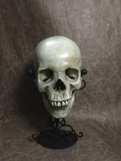 UnCarved Female Skull