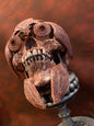 Ghost Rider Skull