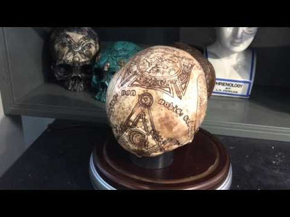 Templar Knight Skull