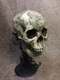 Hufflepuff Skull