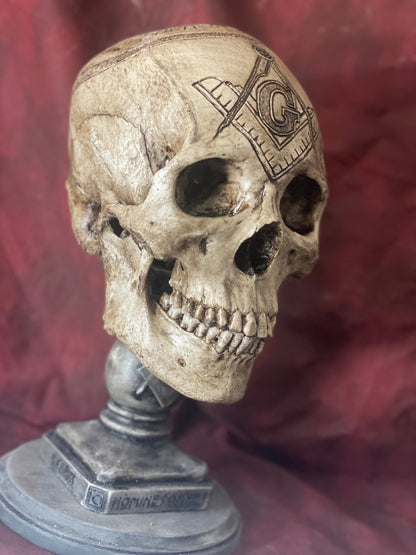 Room of Reflection skull