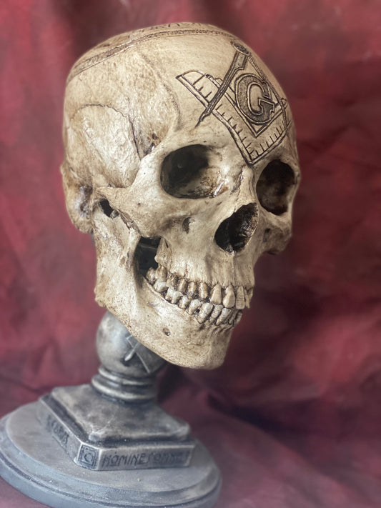 Room of Reflection skull