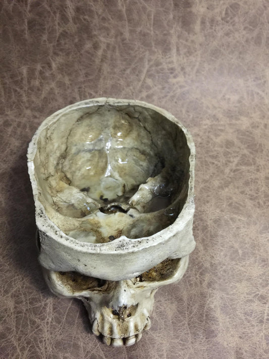 Skull Bowl - Male
