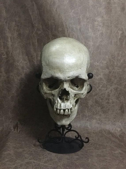 UnCarved Male Skull
