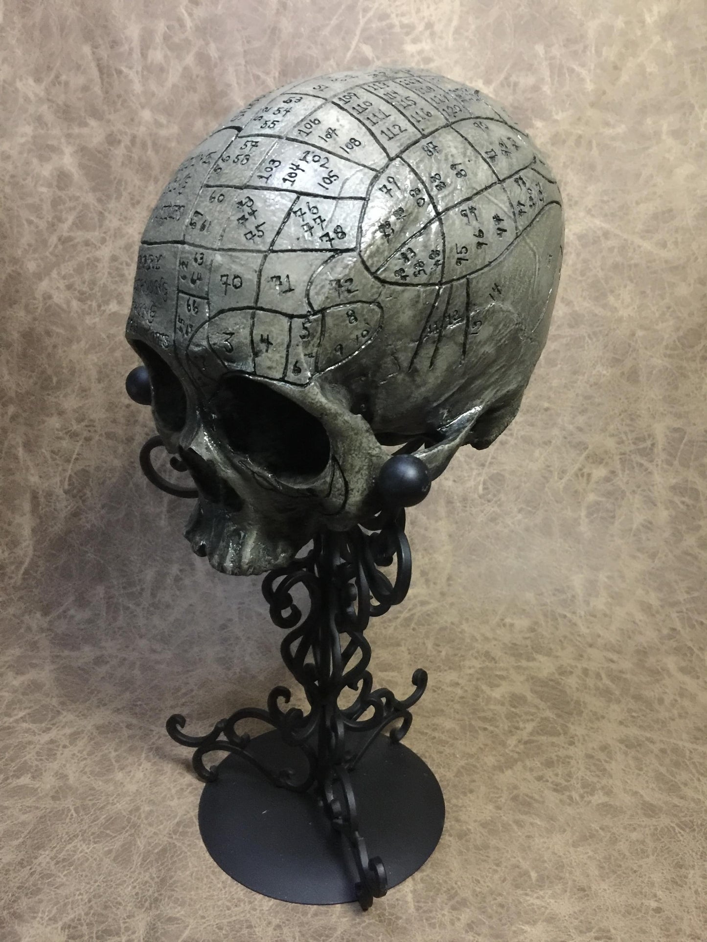 Phrenology Skull