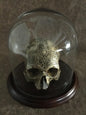 9.75 X 10 Glass Dome