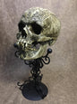 Vlad Tepes The Impaler Skull